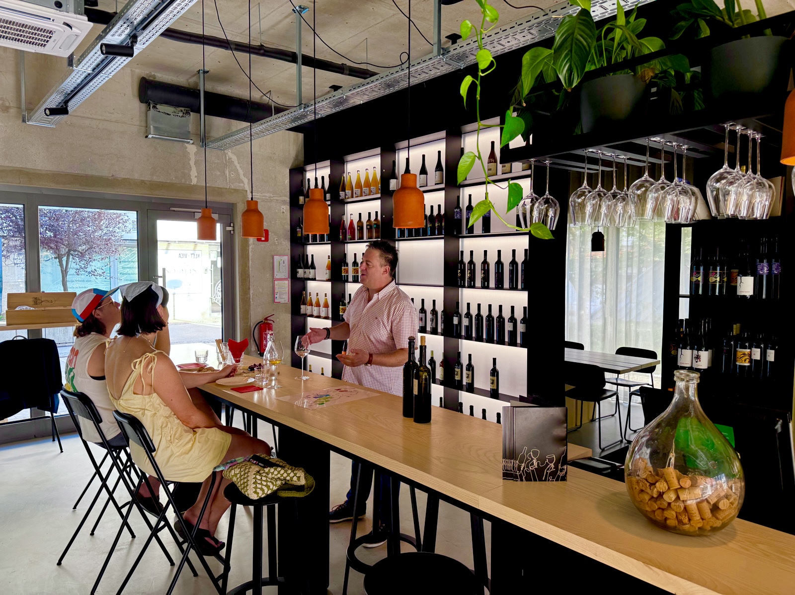 Orange Wine Tasting with Sommelier in Ljubljana